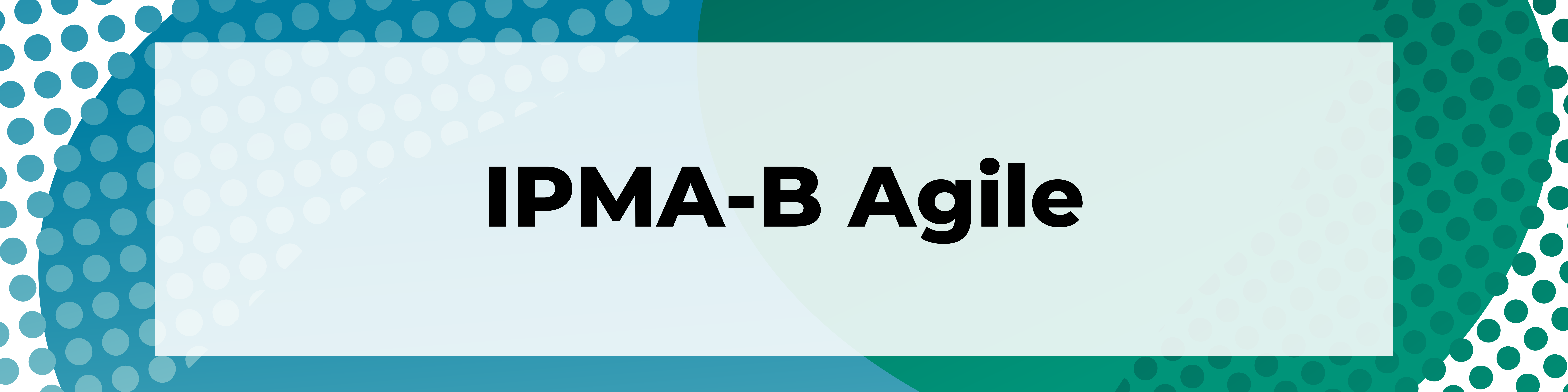 Ervaring IPMA B Agile